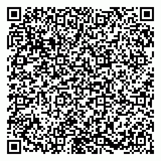 vCard 79385000739