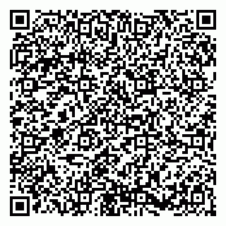 vCard 79385004039