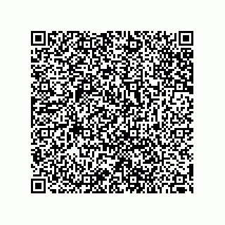 vCard 79387000173
