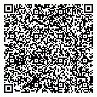 vCard 79387770013
