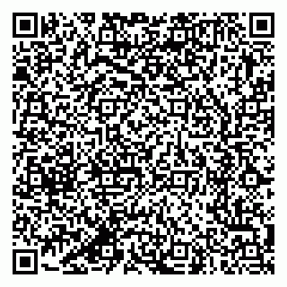 vCard 79387770019