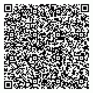 vCard 79387770020