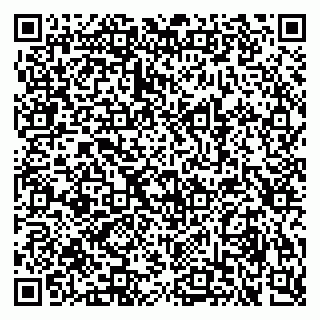 vCard 79387770032