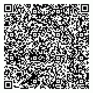 vCard 79387770136