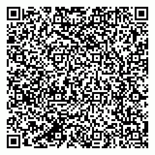 vCard 79387770183