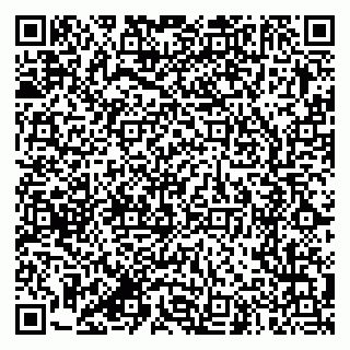 vCard 79387770201