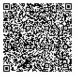 vCard 79387770203