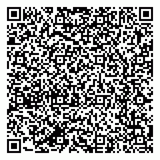 vCard 79387770205
