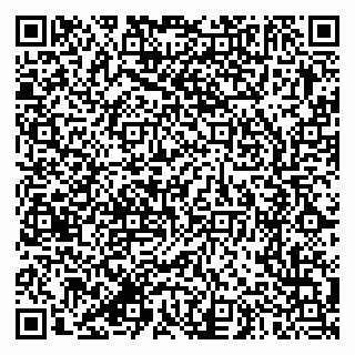vCard 79387770208