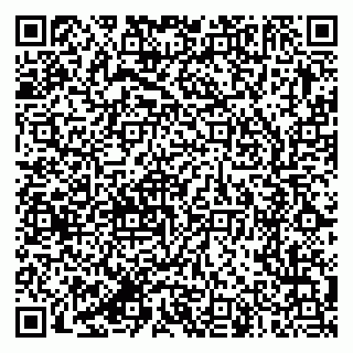 vCard 79387770219
