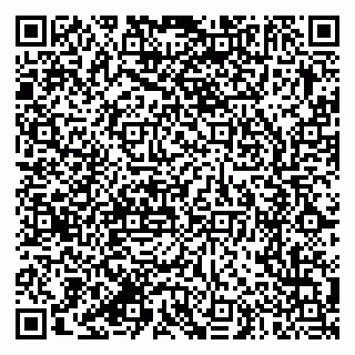 vCard 79387770240