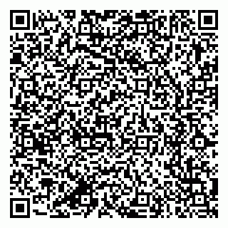 vCard 79387770254