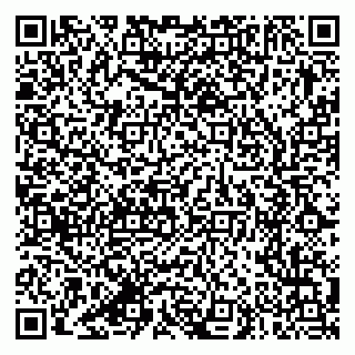 vCard 79387770271