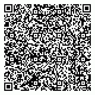 vCard 79387770273