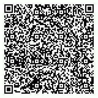 vCard 79387770275