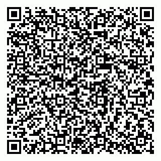 vCard 79387770281