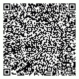 vCard 79387770296