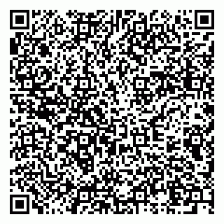 vCard 79387770302