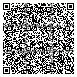 vCard 79387770306