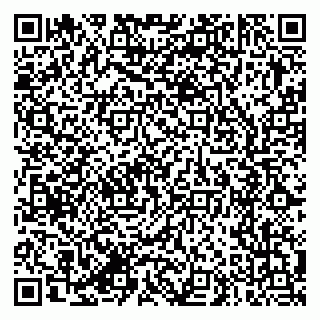 vCard 79387770323