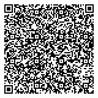 vCard 79387770324