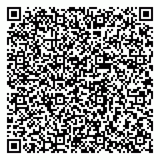 vCard 79387770329