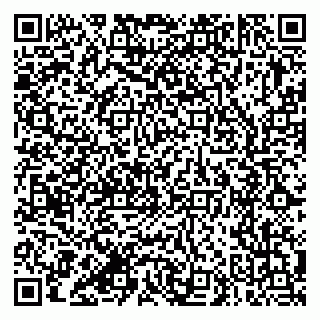 vCard 79387770333