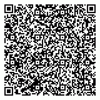 vCard 79387770336