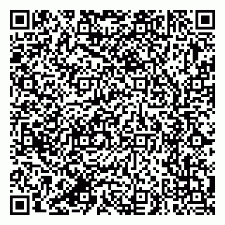 vCard 79387770337