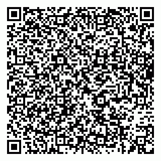 vCard 79387770381