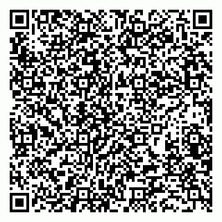 vCard 79388890127