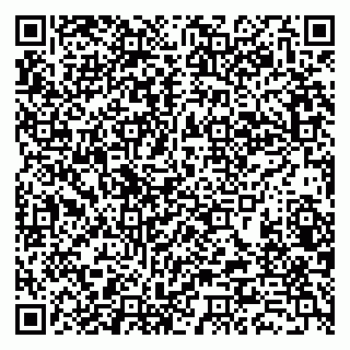 vCard 79388890301