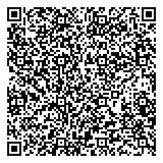vCard 79388890304