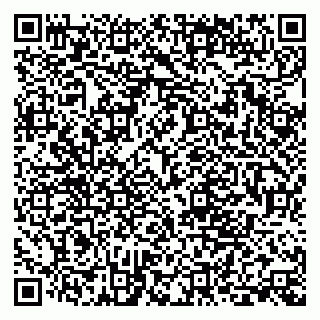 vCard 79388890339