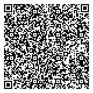 vCard 79388890370