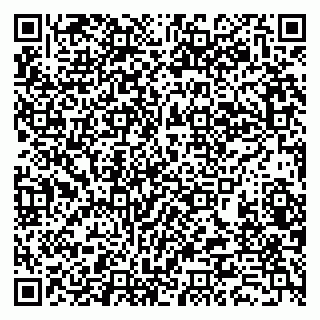 vCard 79388890371