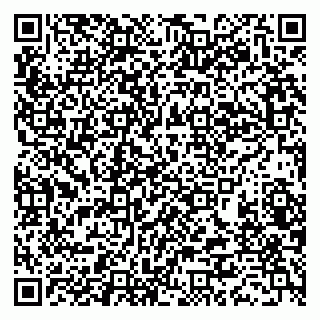 vCard 79388890378