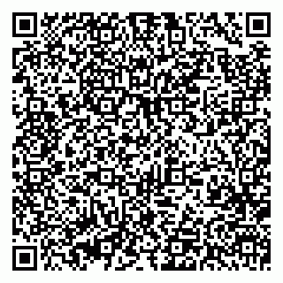 vCard 79393001039