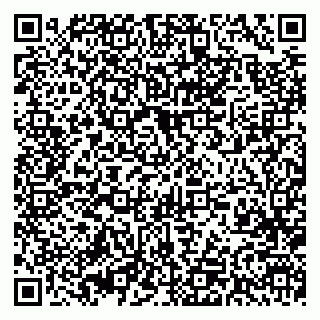 vCard 79393001539
