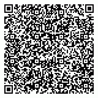 vCard 79393001739
