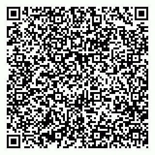 vCard 79393002739