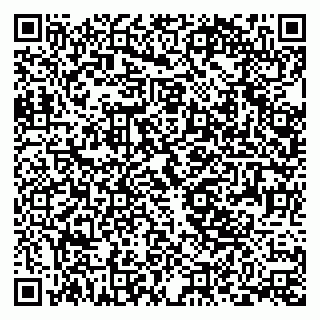 vCard 79393002939