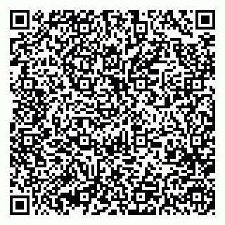 vCard 79393184839