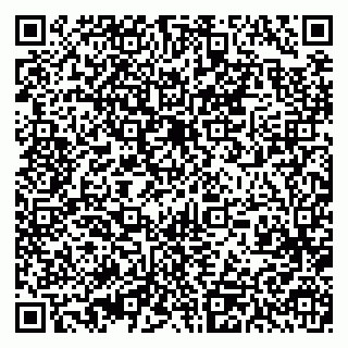 vCard 79393193279