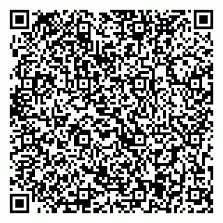 vCard 79393195300