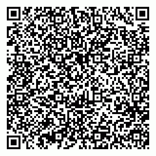 vCard 79393195939