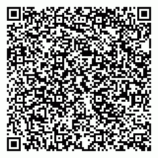 vCard 79393196039