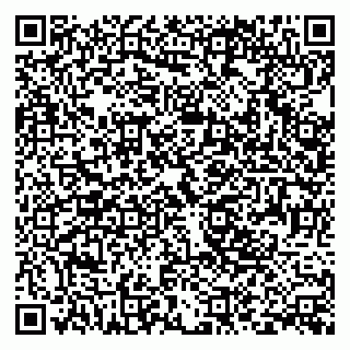 vCard 79393196539