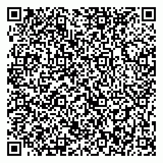 vCard 79393196700