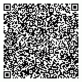 vCard 79393197413